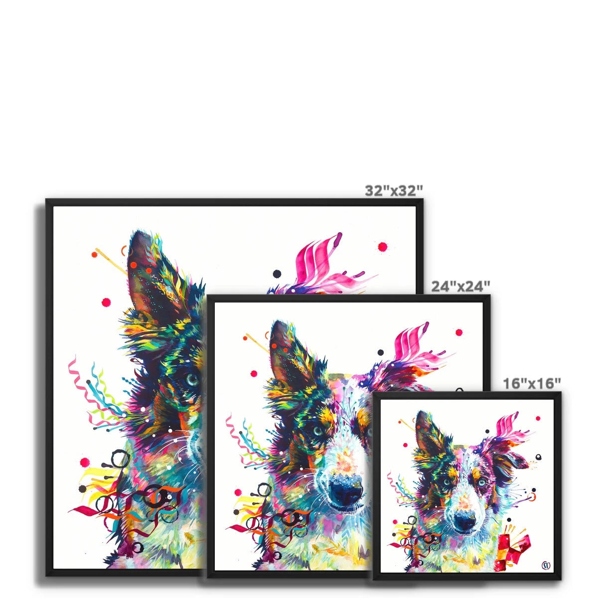 Loki the Border Collie Framed Canvas Sarah Taylor Art