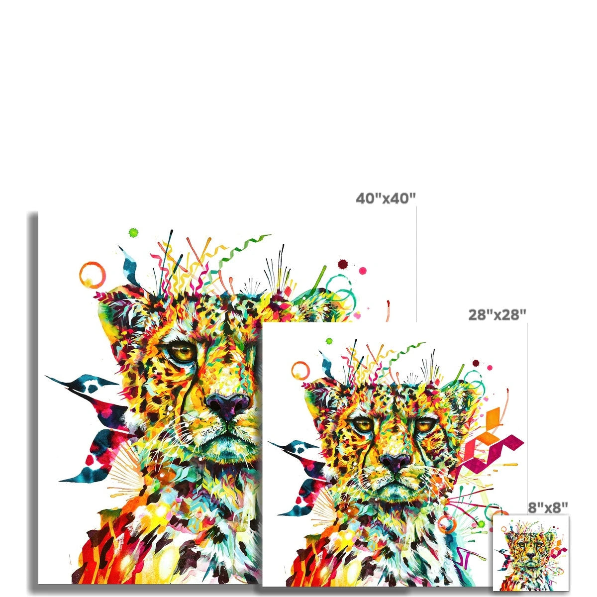 Zola the Cheetah Fine Art Print Sarah Taylor Art