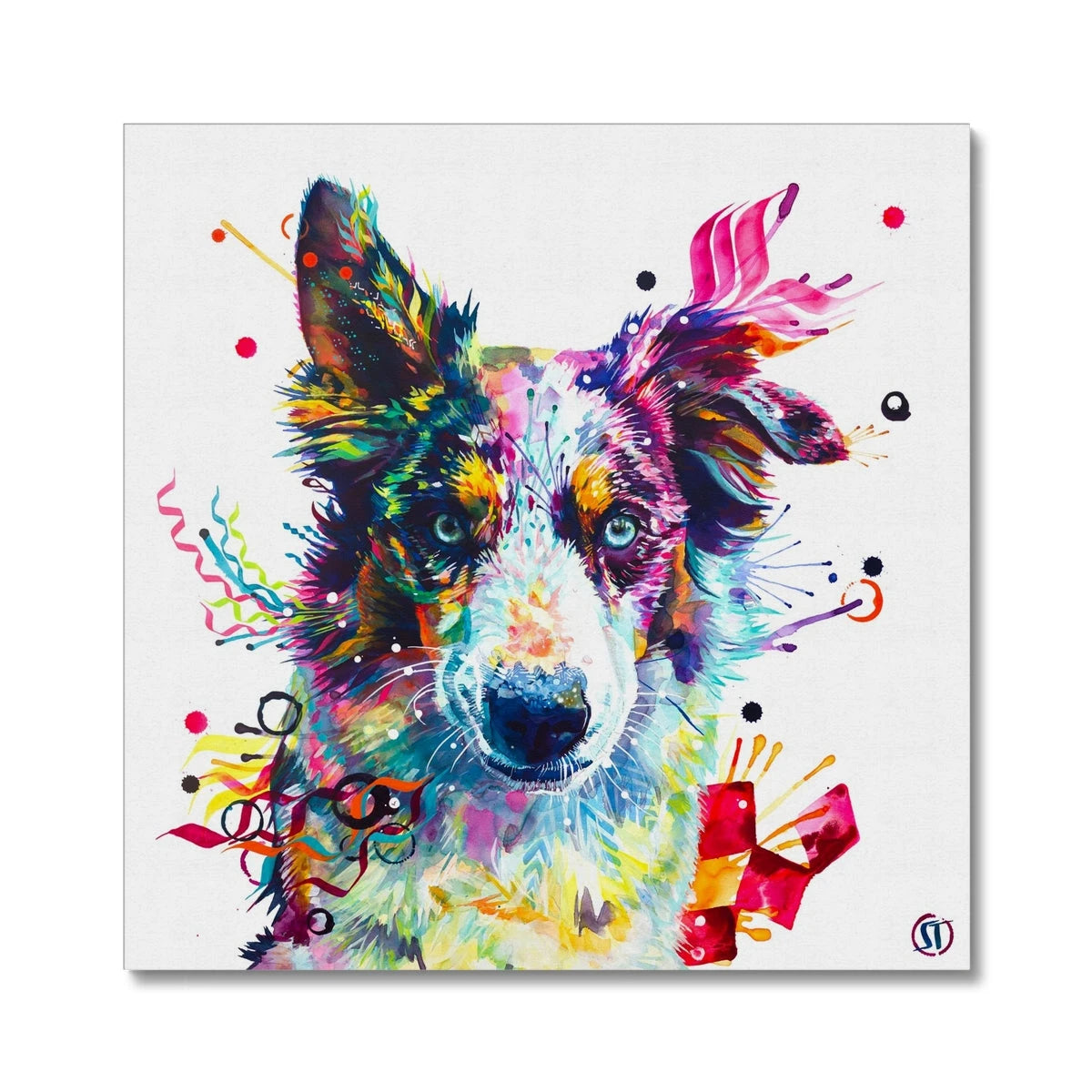 Loki the Border Collie Canvas Sarah Taylor Art