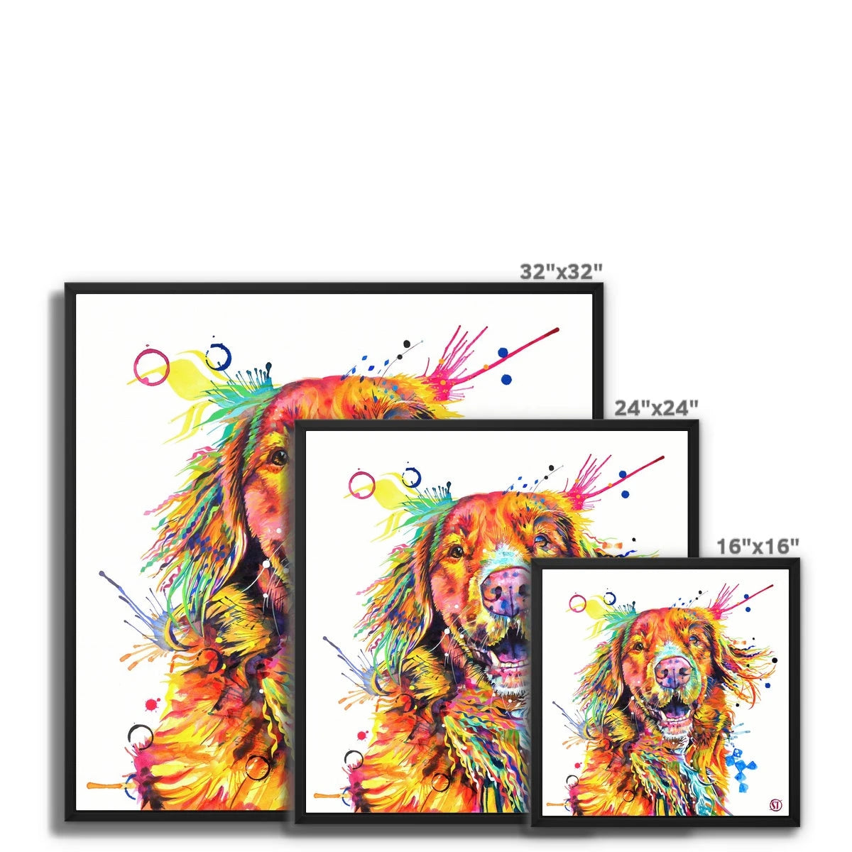 Effy the Duck Toller Framed Canvas Sarah Taylor Art