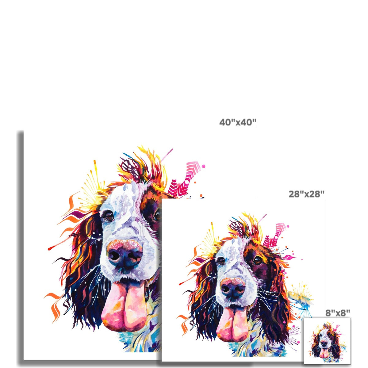 Patchy the Sprocker Fine Art Print Sarah Taylor Art
