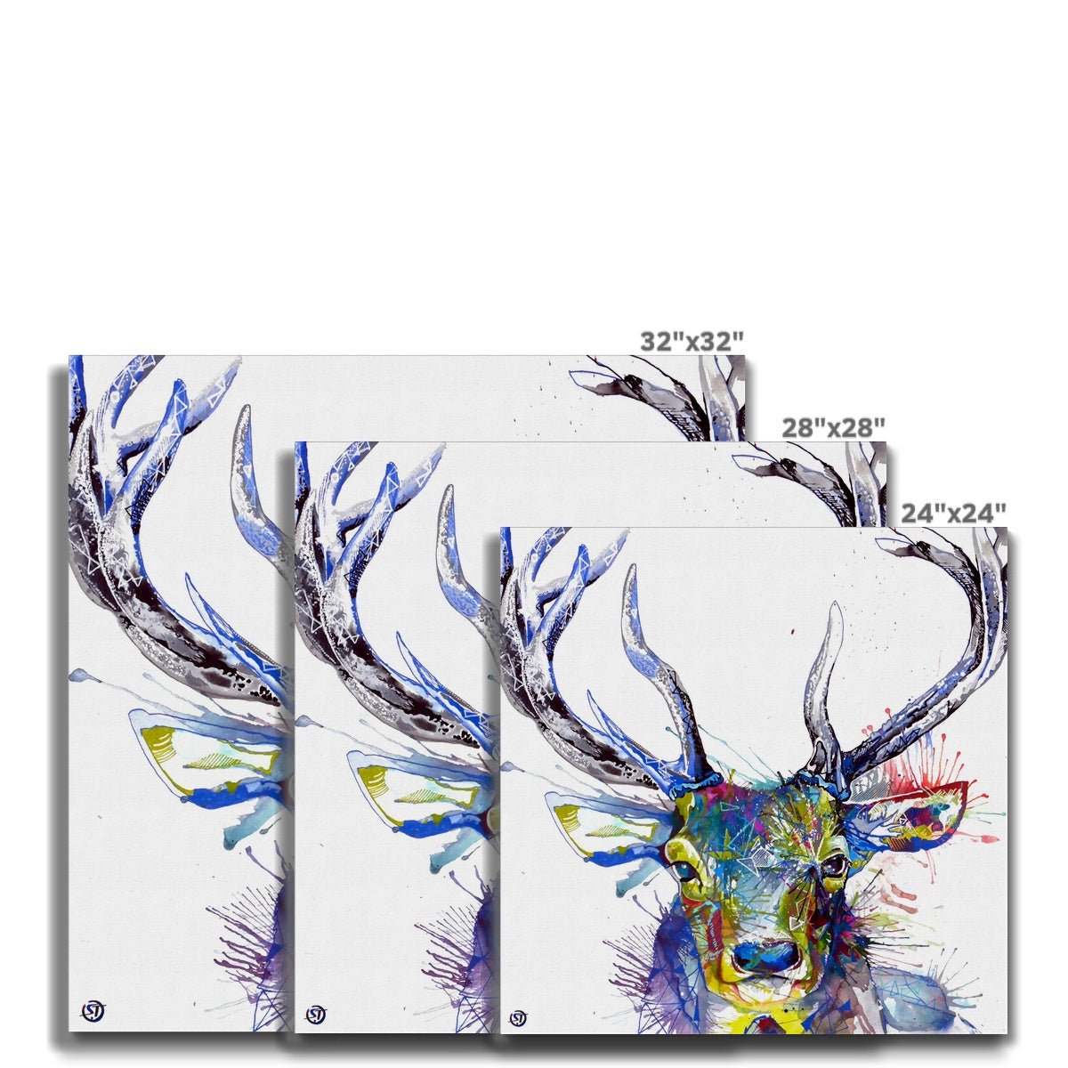 Wallart | Wildlife Art | Animal Art | Sarah Taylor