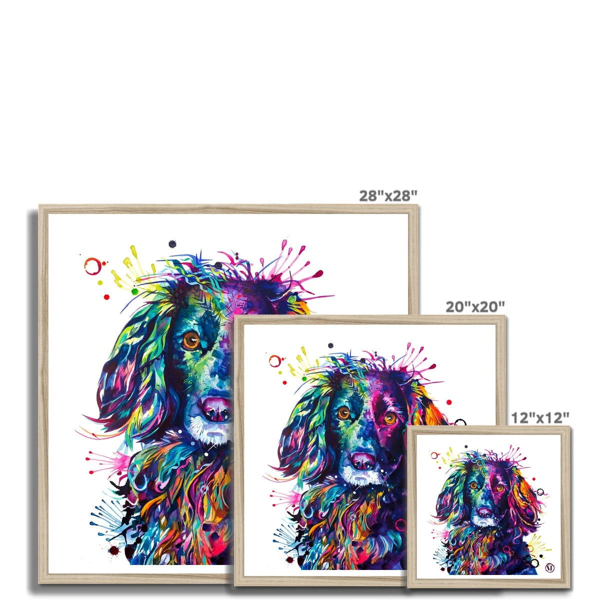 Loki the Cocker Spaniel Framed Print Sarah Taylor Art