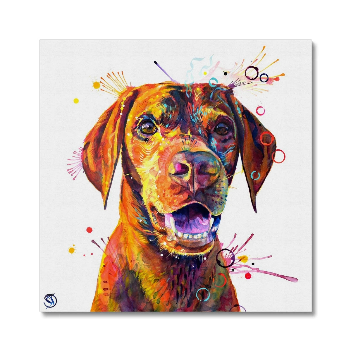 Freo the Vizsla Canvas Sarah Taylor Art