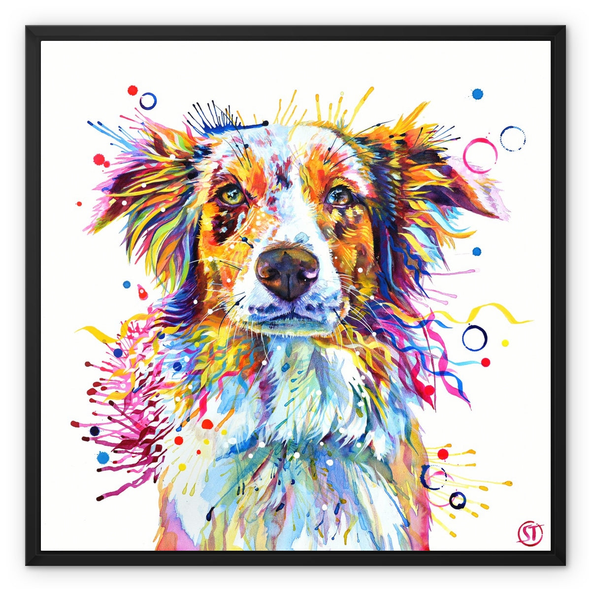 Mabel the Collie Framed Canvas Sarah Taylor Art
