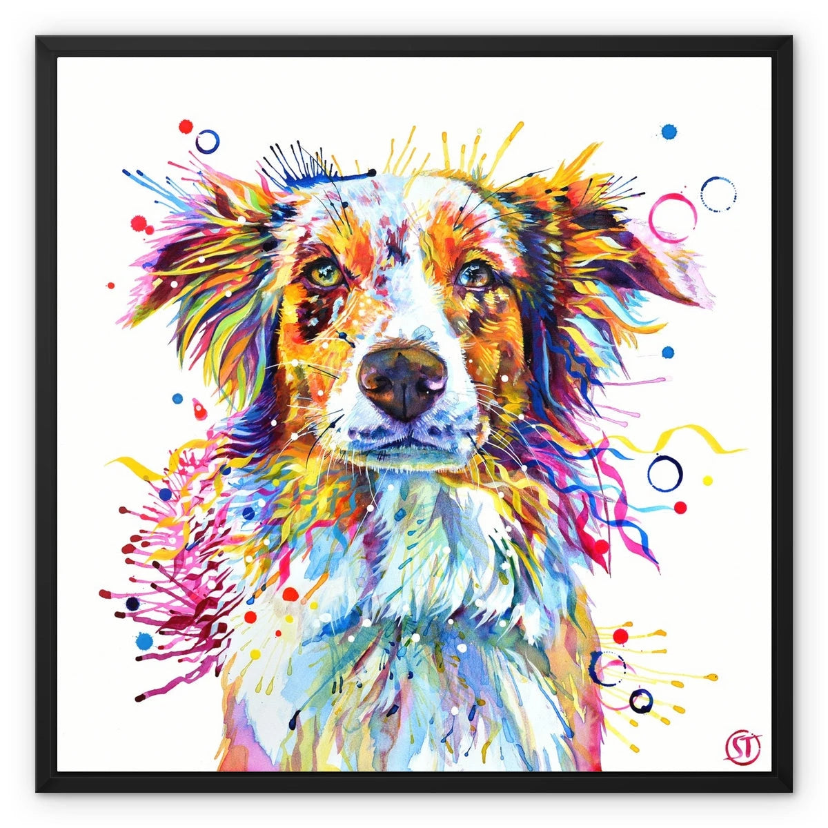 Mabel the Collie Framed Canvas Sarah Taylor Art