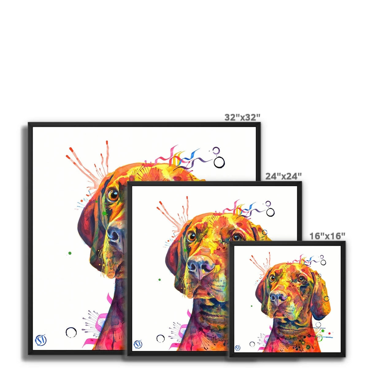 Shilo the Vizsla Framed Canvas Sarah Taylor Art