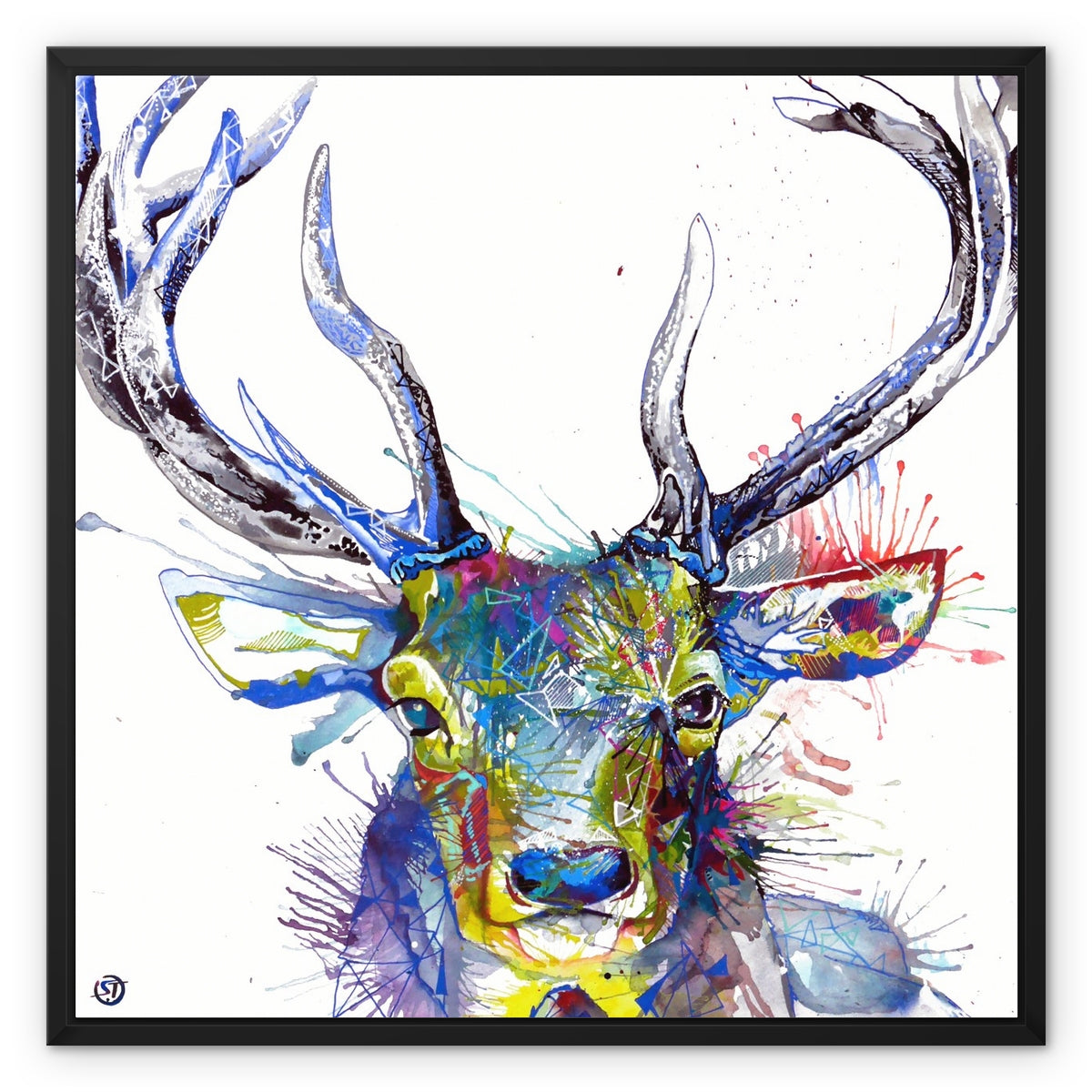 Wallart | Wildlife Art | Animal Art | Sarah Taylor