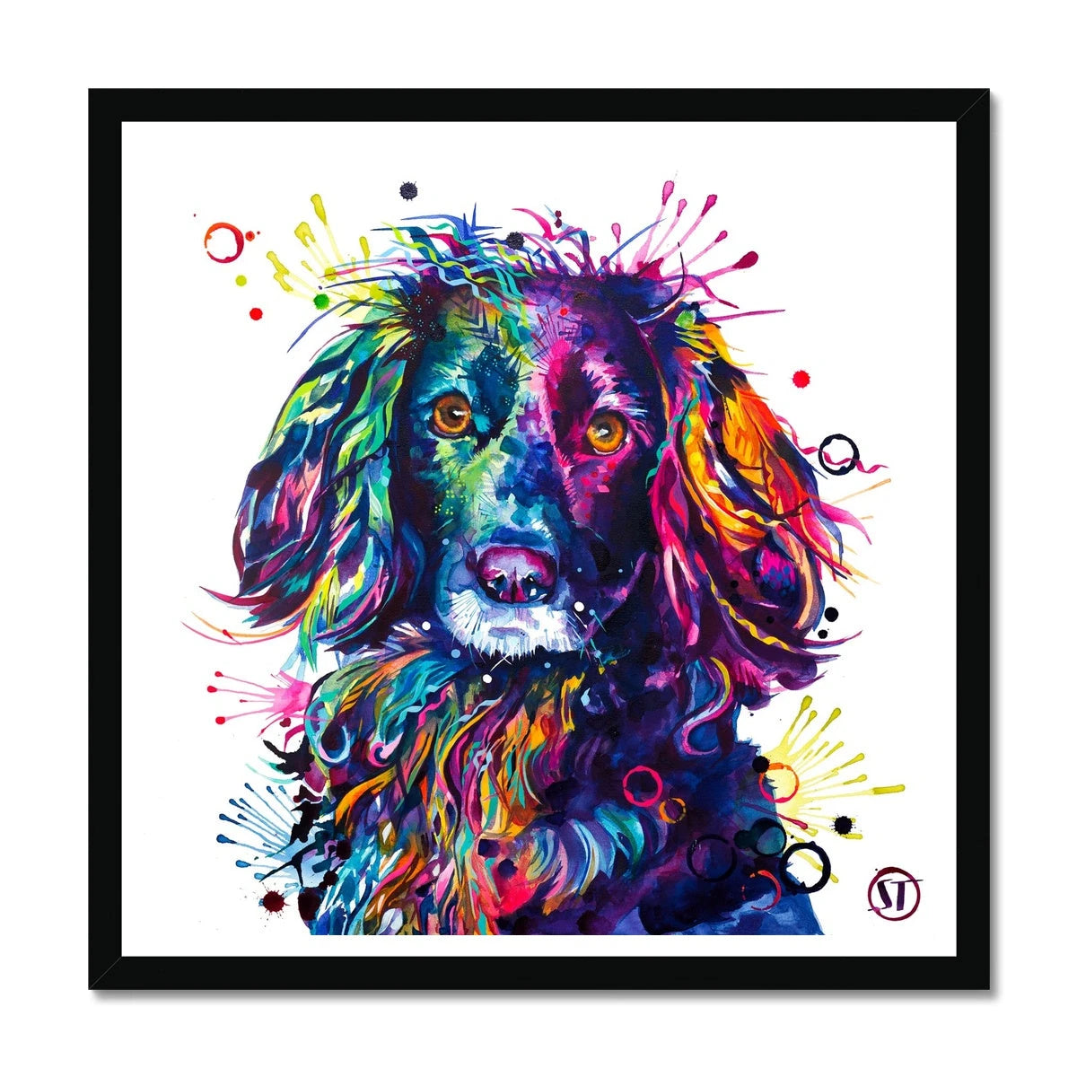 Loki the Cocker Spaniel Framed Print Sarah Taylor Art