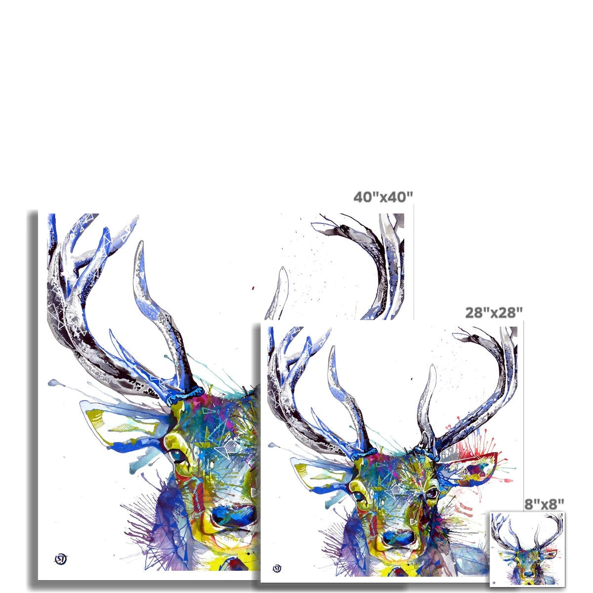 Invincible Stag Fine Art Print Sarah Taylor Art