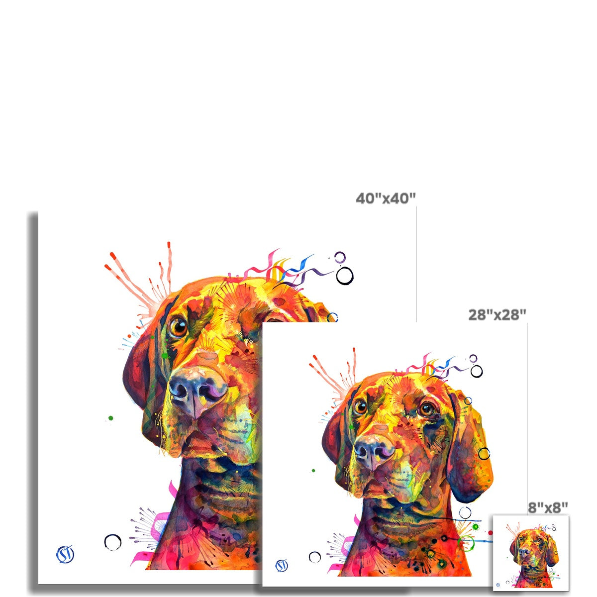 Shilo the Vizsla Fine Art Print Sarah Taylor Art