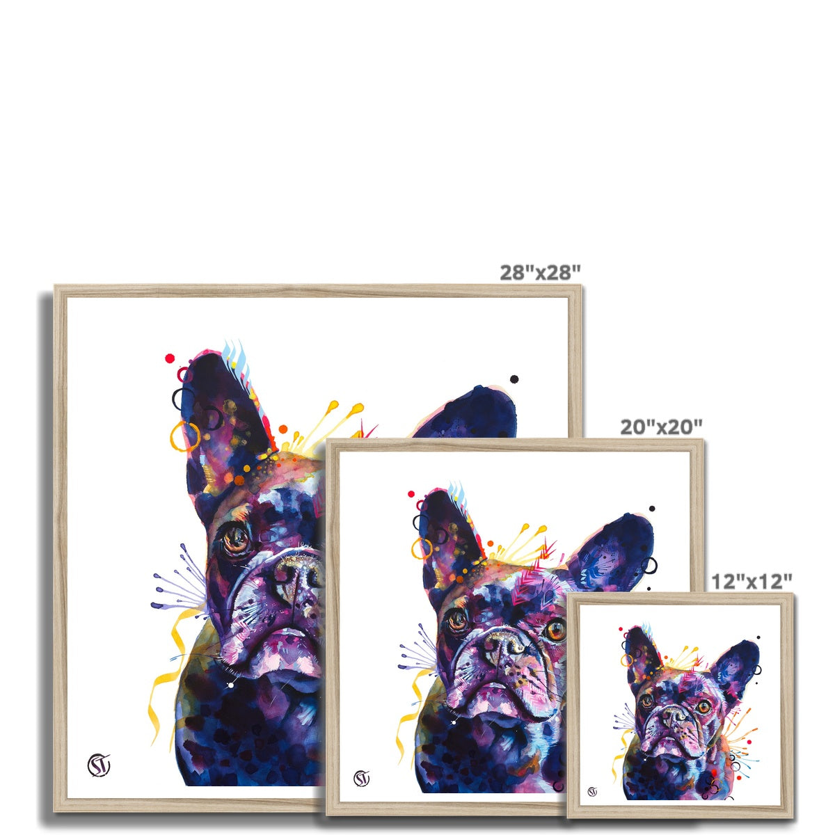 Poppy the Frenchie (French Bulldog) Framed Print Sarah Taylor Art