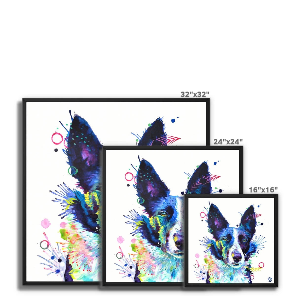 Jess the Border Collie Framed Canvas Sarah Taylor Art