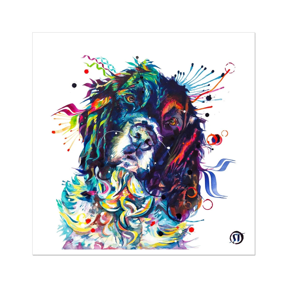 Thorin the Springer Spaniel Fine Art Print Sarah Taylor Art