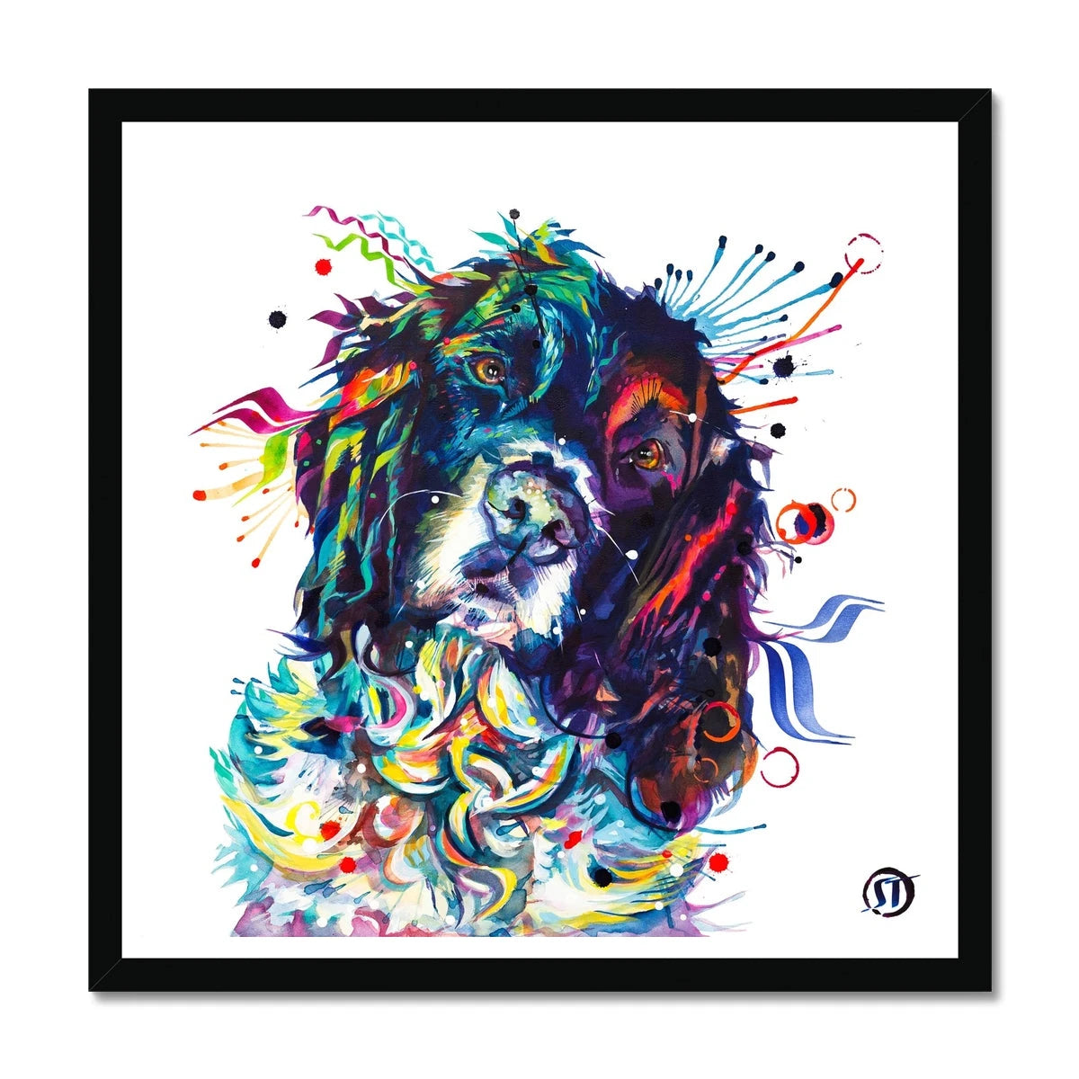 Thorin the Springer Spaniel Framed Print Sarah Taylor Art