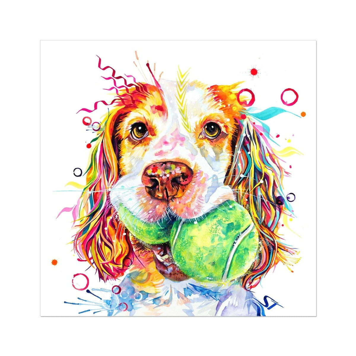 The Ball Girl! Sprocker Spaniel Fine Art Print Sarah Taylor Art