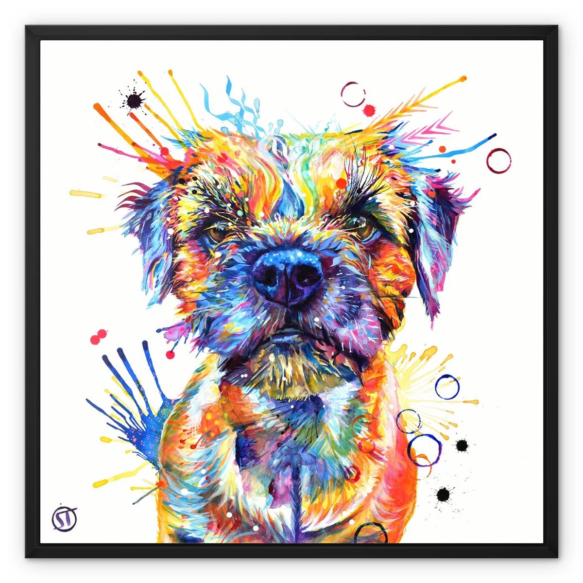 Allan the Border Terrier Framed Canvas Sarah Taylor Art