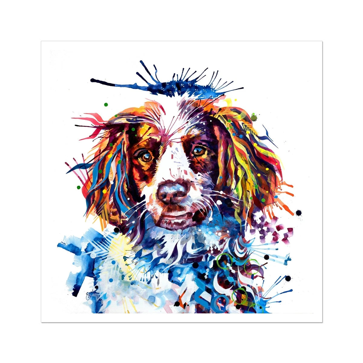 Buster the Springer Fine Art Print Sarah Taylor Art