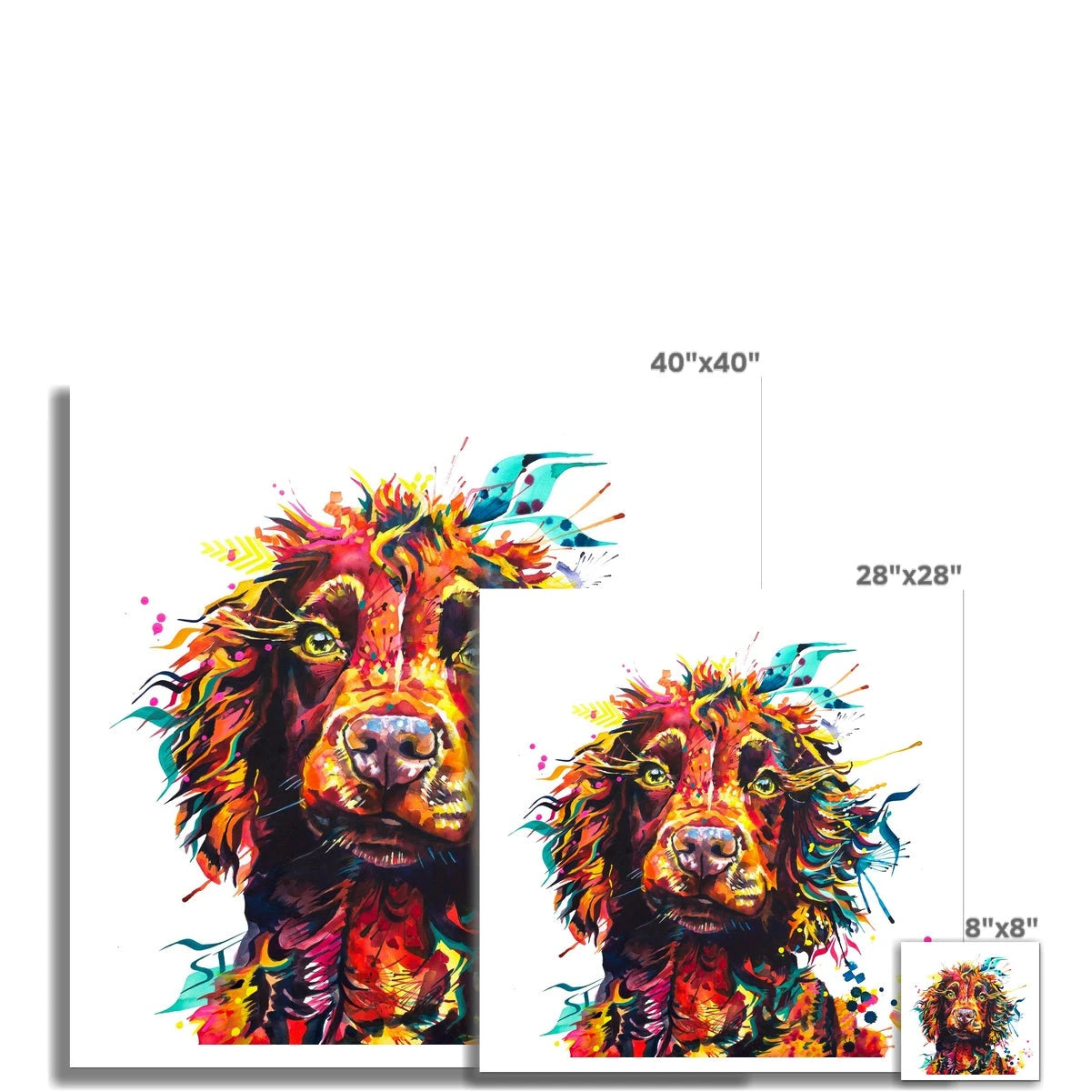 Teddy the Cocker Spaniel Fine Art Print Sarah Taylor Art