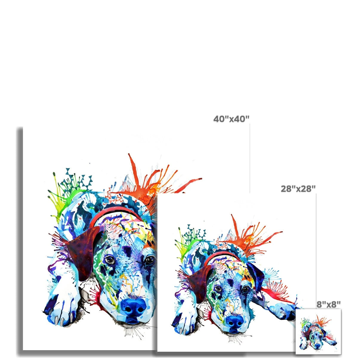 Sam the Dalmatian Fine Art Print Sarah Taylor Art
