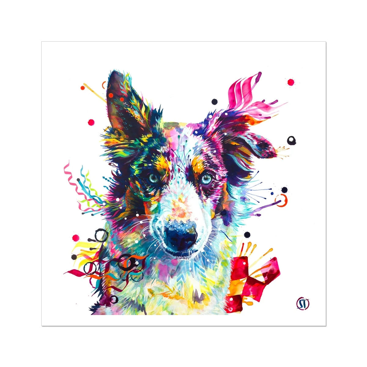 Loki the Border Collie Fine Art Print Sarah Taylor Art