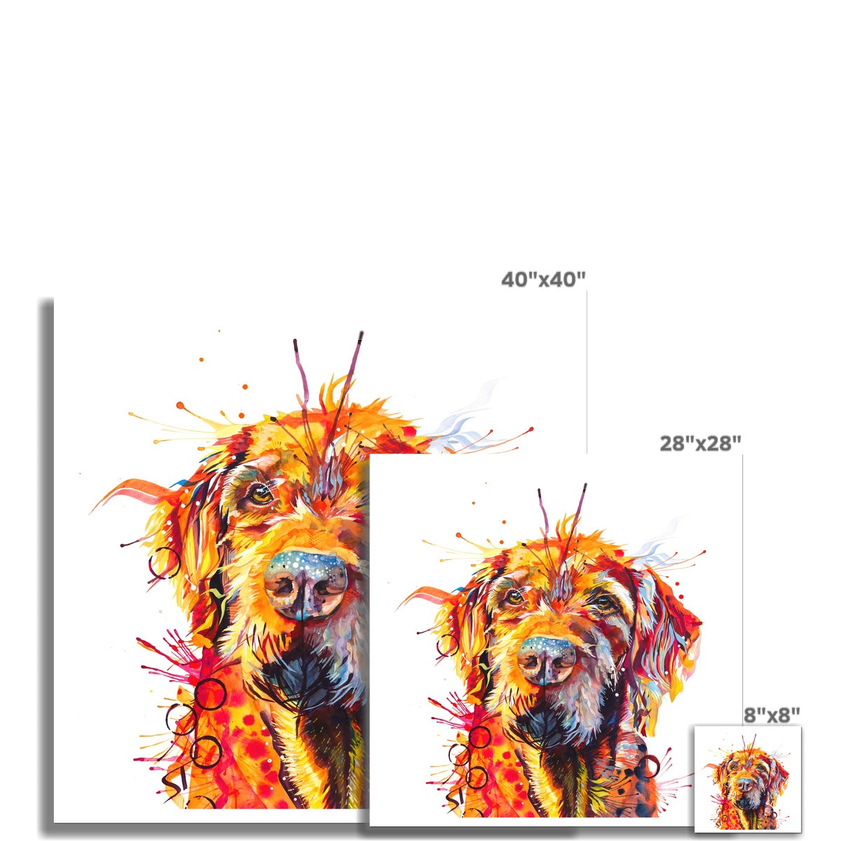 Hamish the Wirehaired Vizsla Fine Art Print Sarah Taylor Art