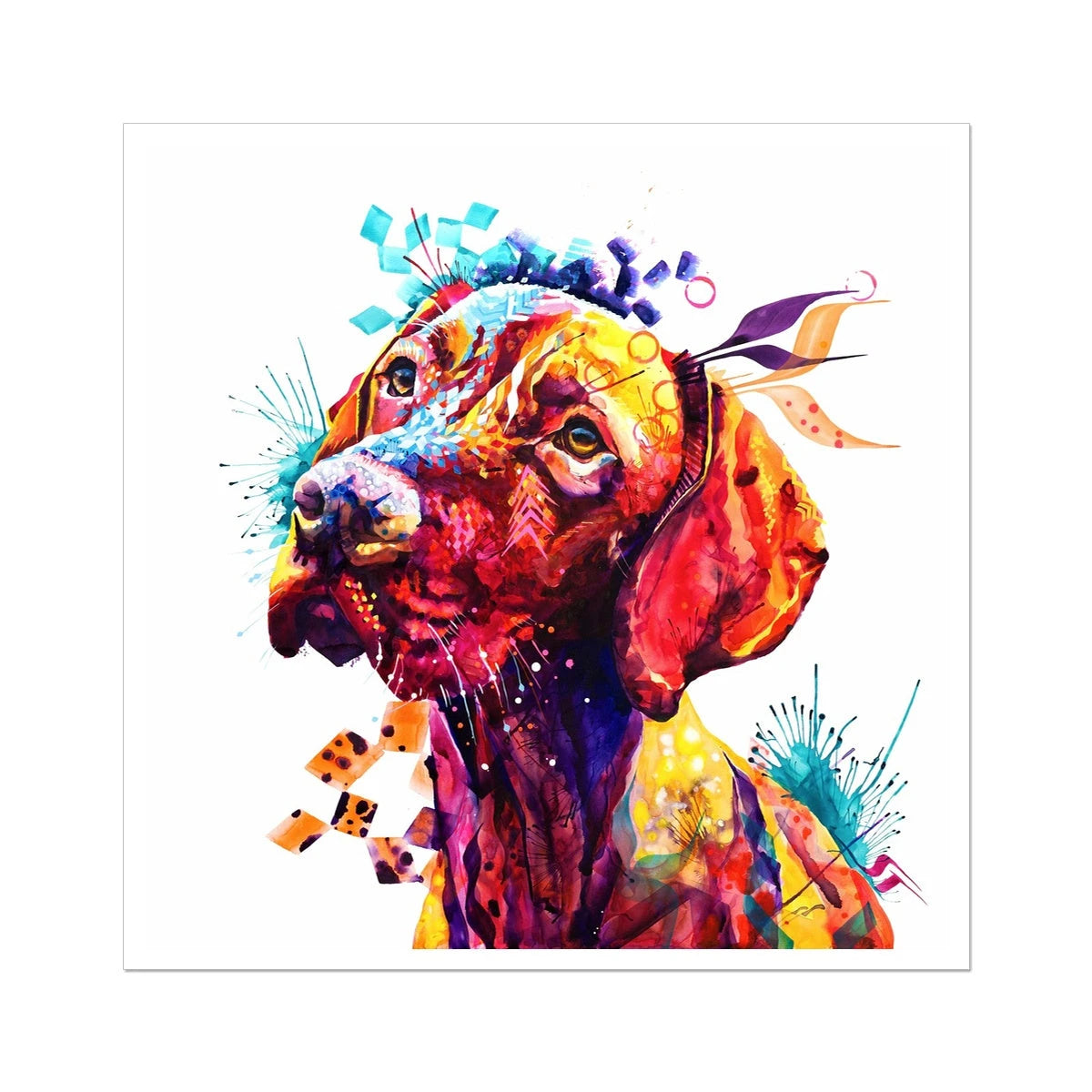 Troy the Vizsla Fine Art Print Sarah Taylor Art
