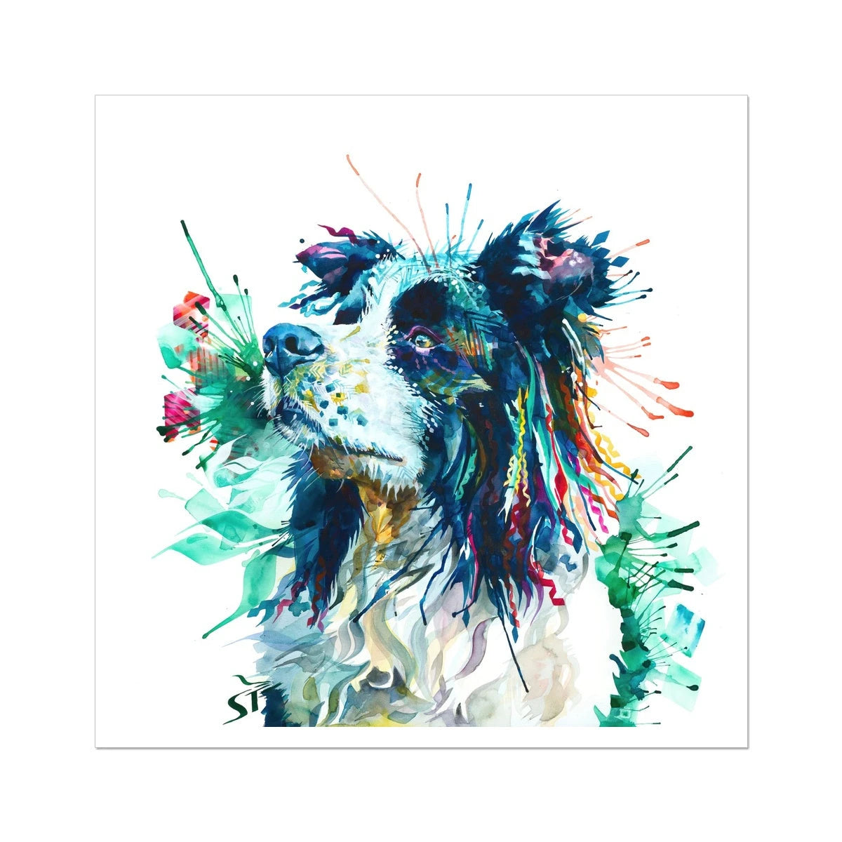 Jasper the Border Collie Fine Art Print Sarah Taylor Art