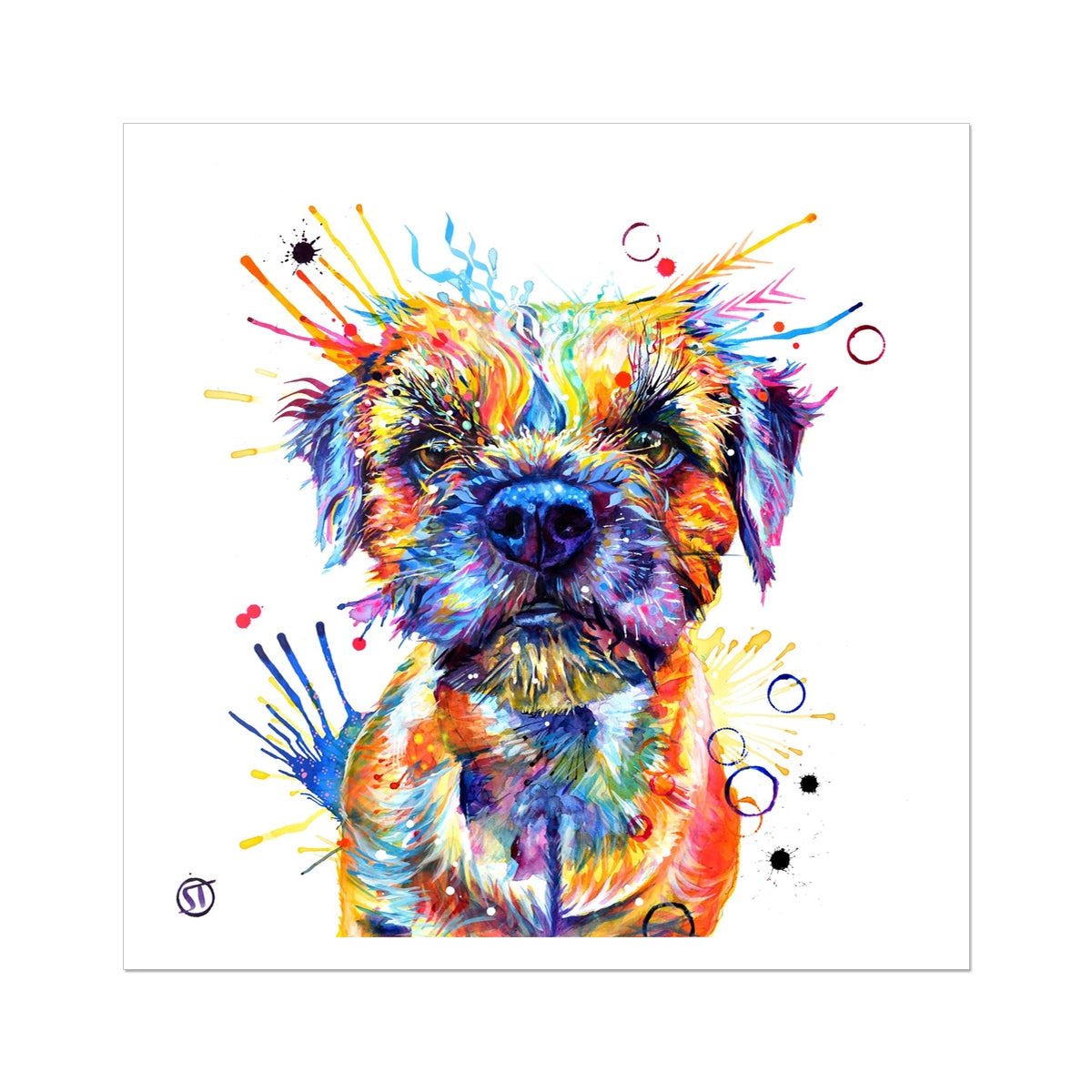 Allan the Border Terrier Fine Art Print