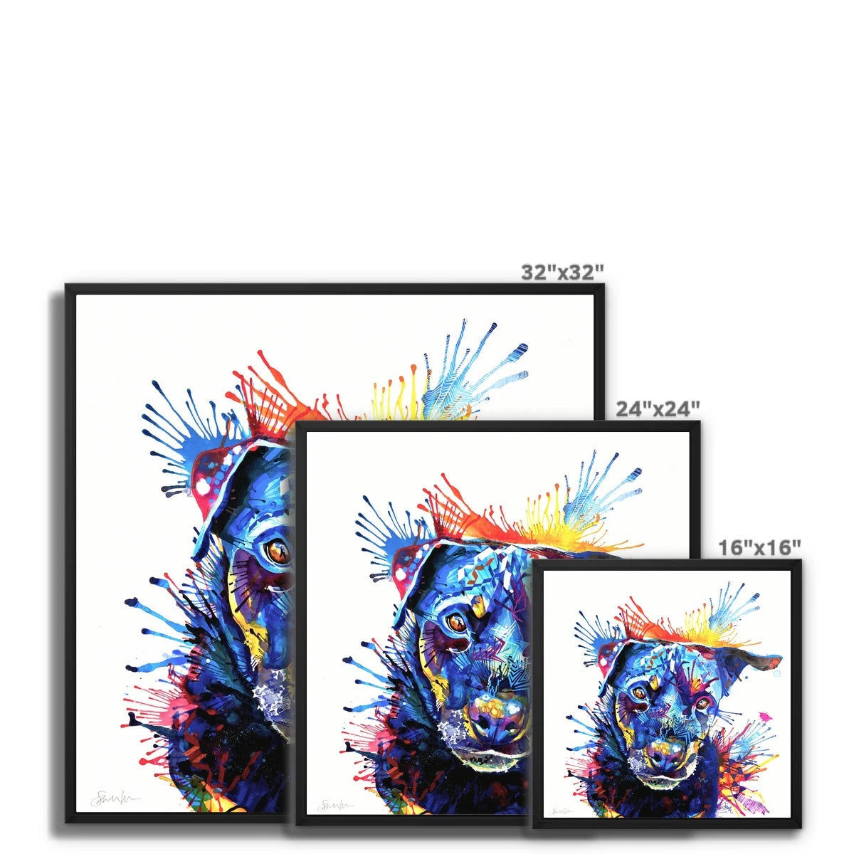 Bowdee the Rottweiler Framed Canvas Sarah Taylor Art