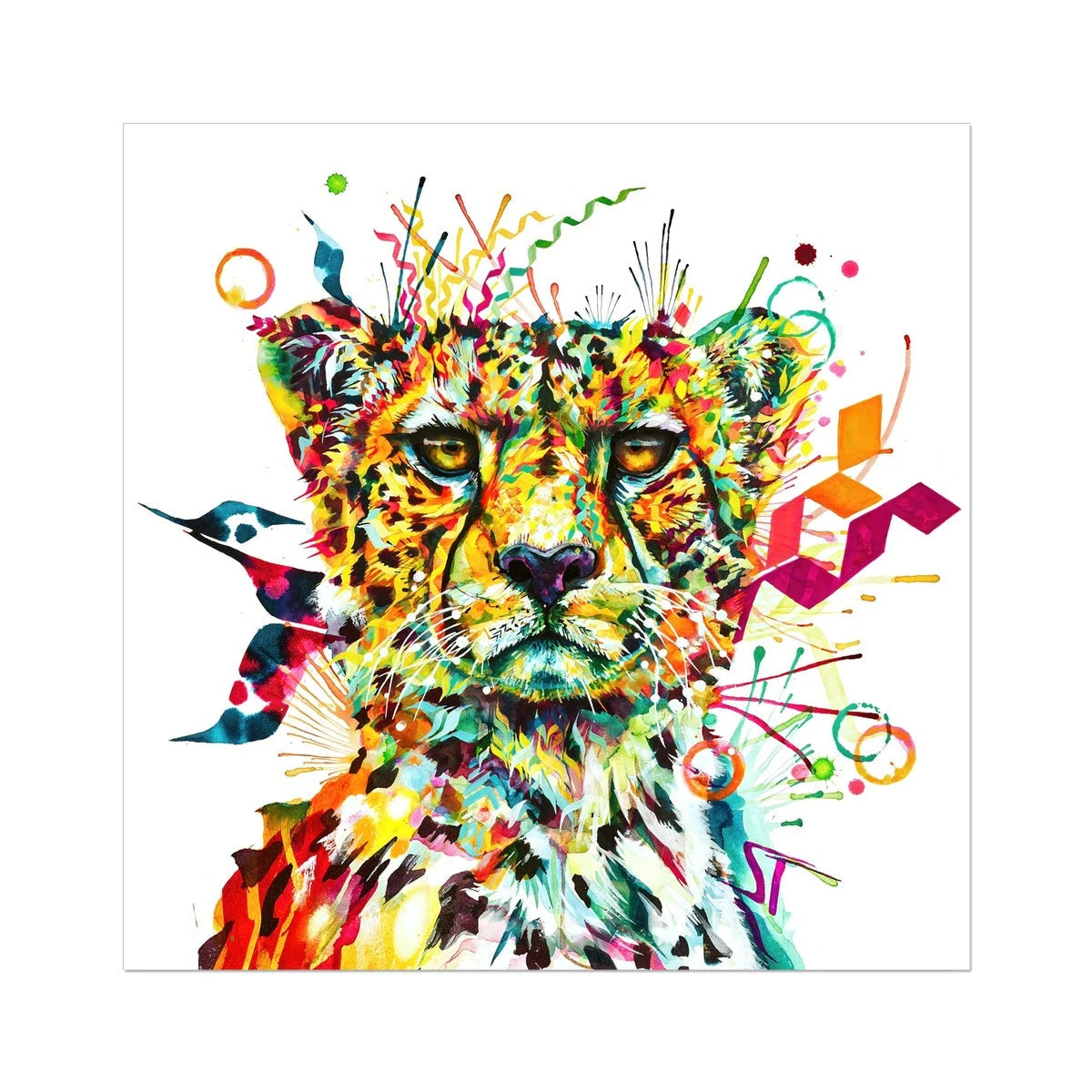 Zola the Cheetah Fine Art Print Sarah Taylor Art