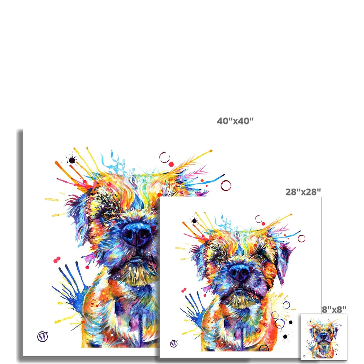 Allan the Border Terrier Fine Art Print Sarah Taylor Art