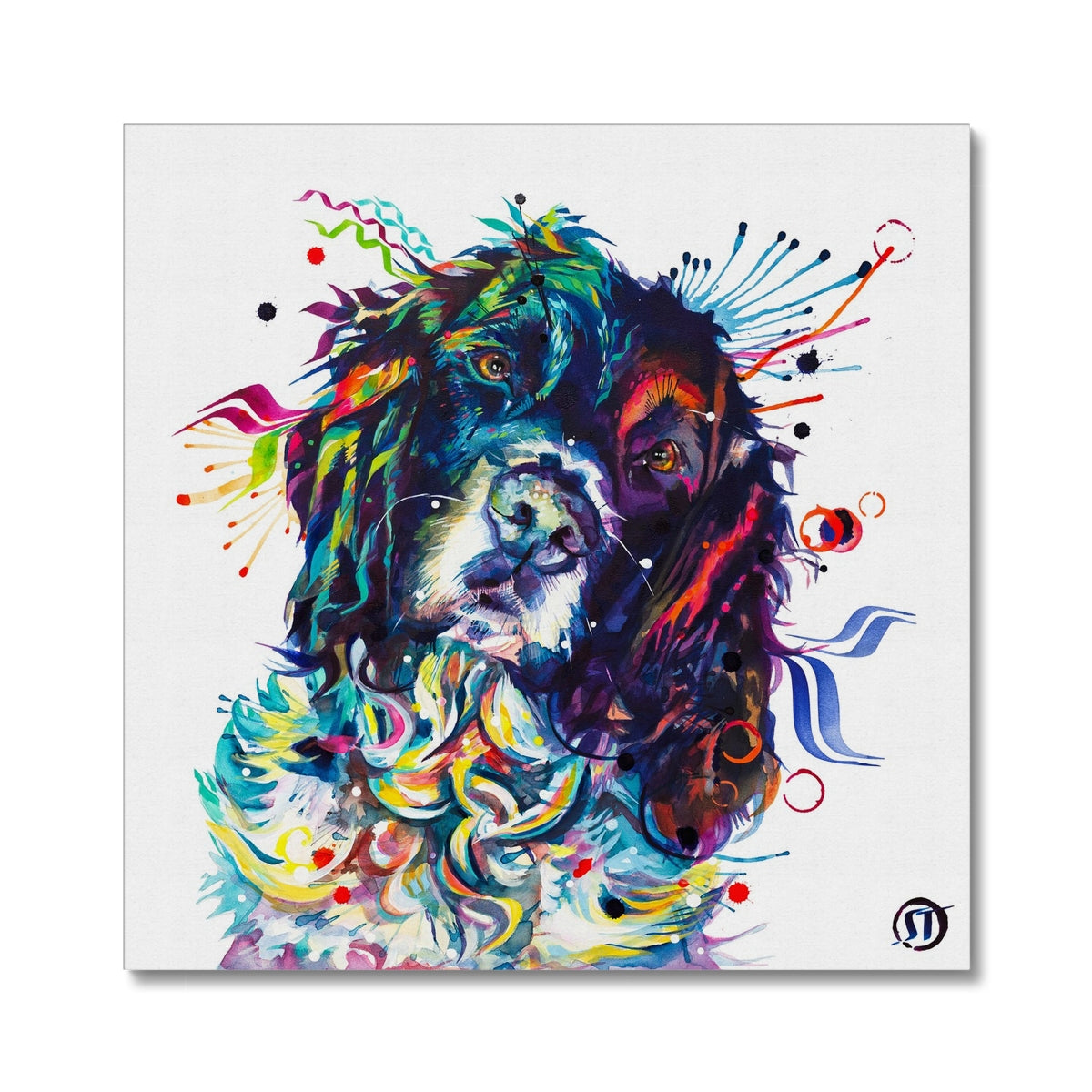 Thorin the Springer Spaniel Canvas Sarah Taylor Art