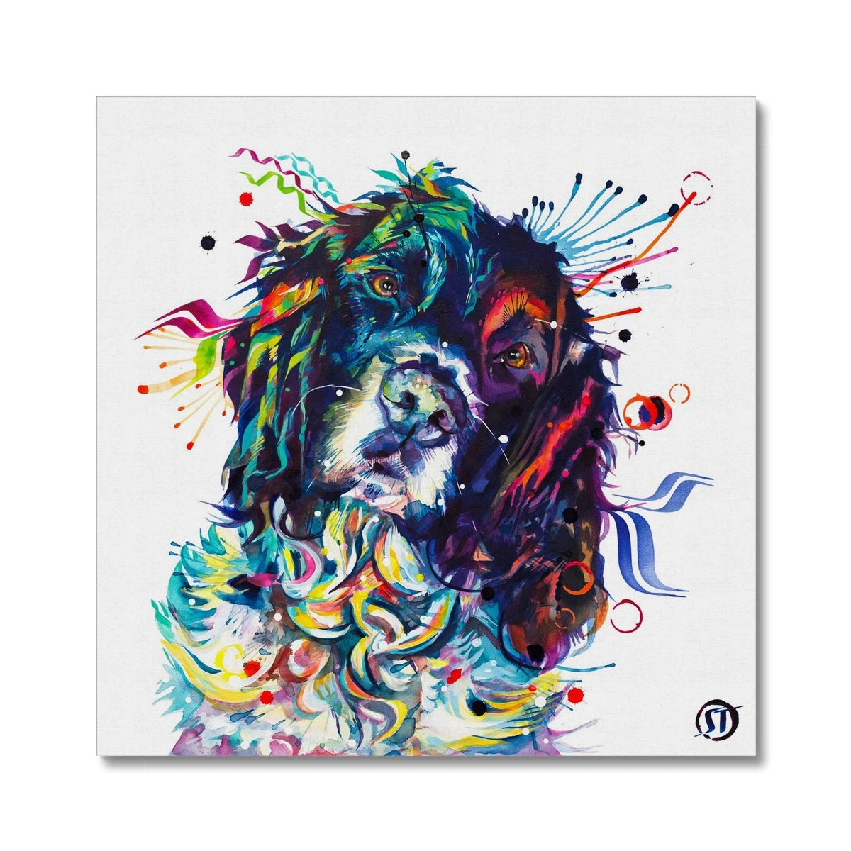 Thorin the Springer Spaniel Canvas Sarah Taylor Art