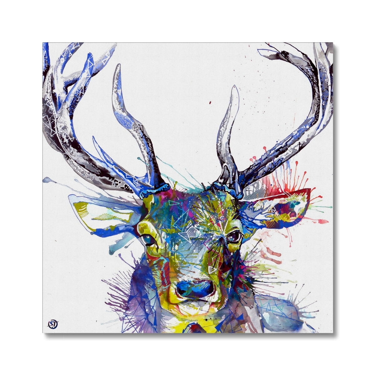 Wallart | Wildlife Art | Animal Art | Sarah Taylor
