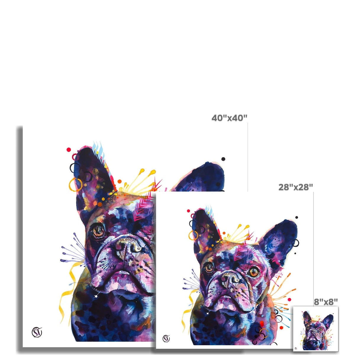 Poppy the Frenchie (French Bulldog) Fine Art Print Sarah Taylor Art