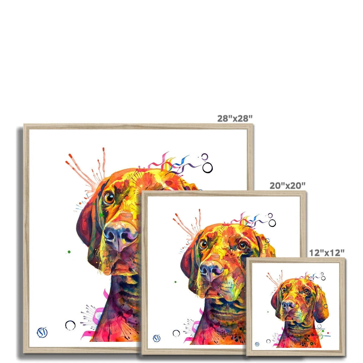 Shilo the Vizsla Framed Print Sarah Taylor Art