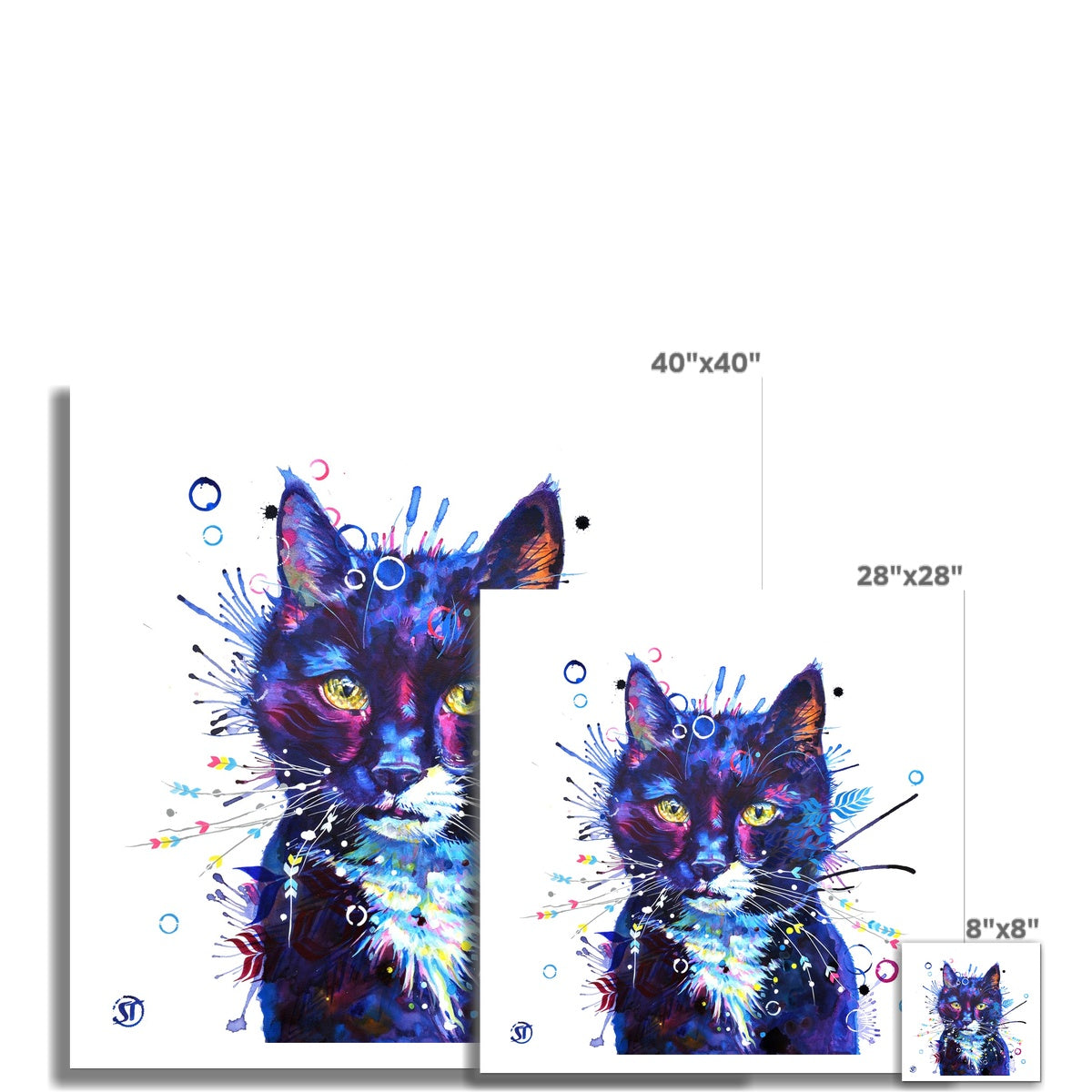 Bubbles the Cat Fine Art Print Sarah Taylor Art