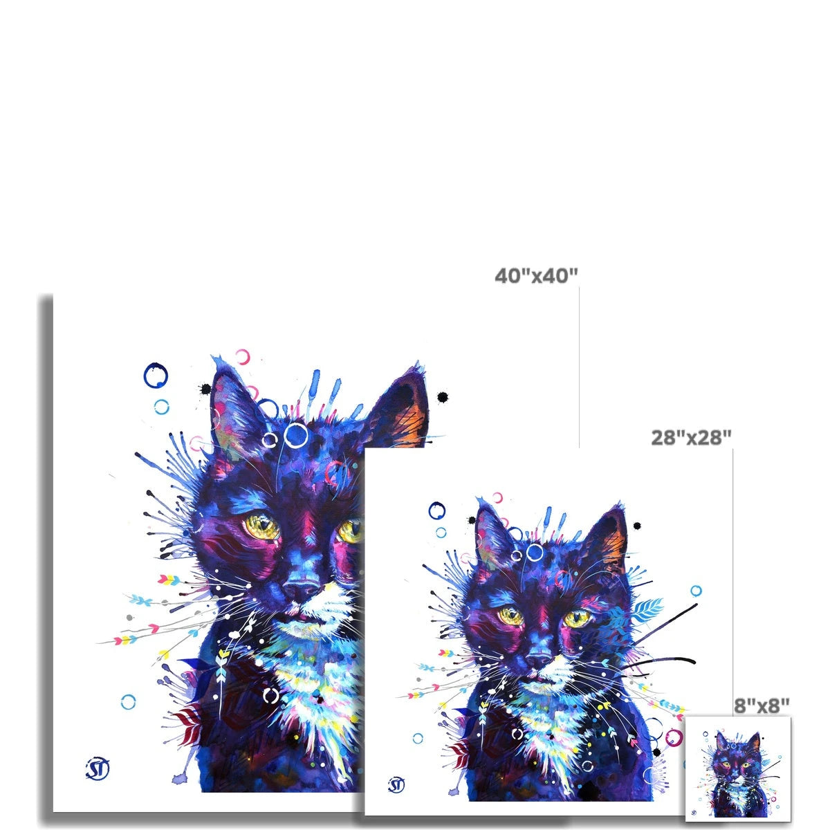 Bubbles the Cat Fine Art Print Sarah Taylor Art