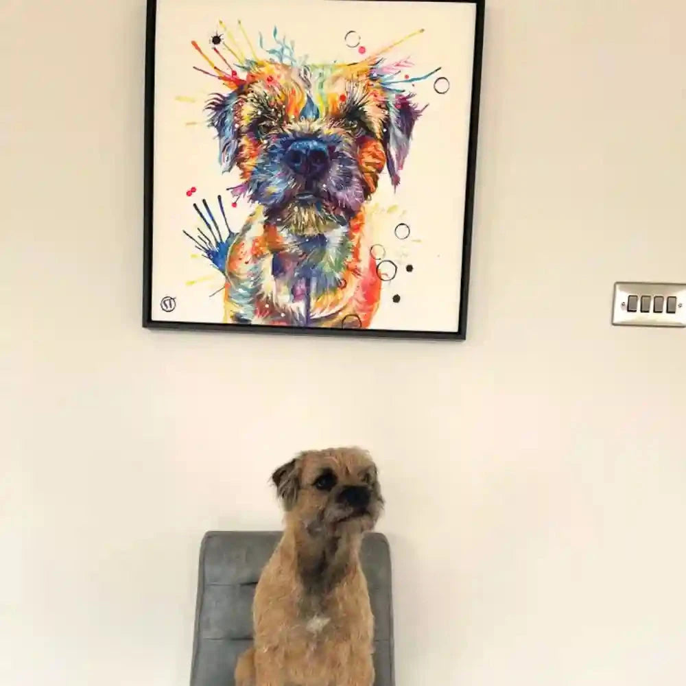 Allan the Border Terrier Framed Canvas Sarah Taylor Art