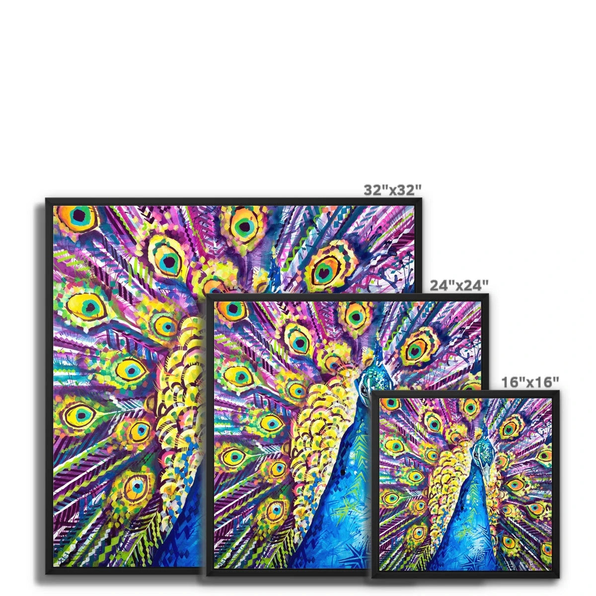 Dylan the Peacock Framed Canvas Sarah Taylor Art