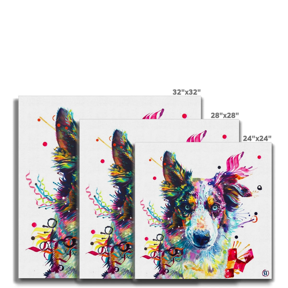 Loki the Border Collie Canvas Sarah Taylor Art