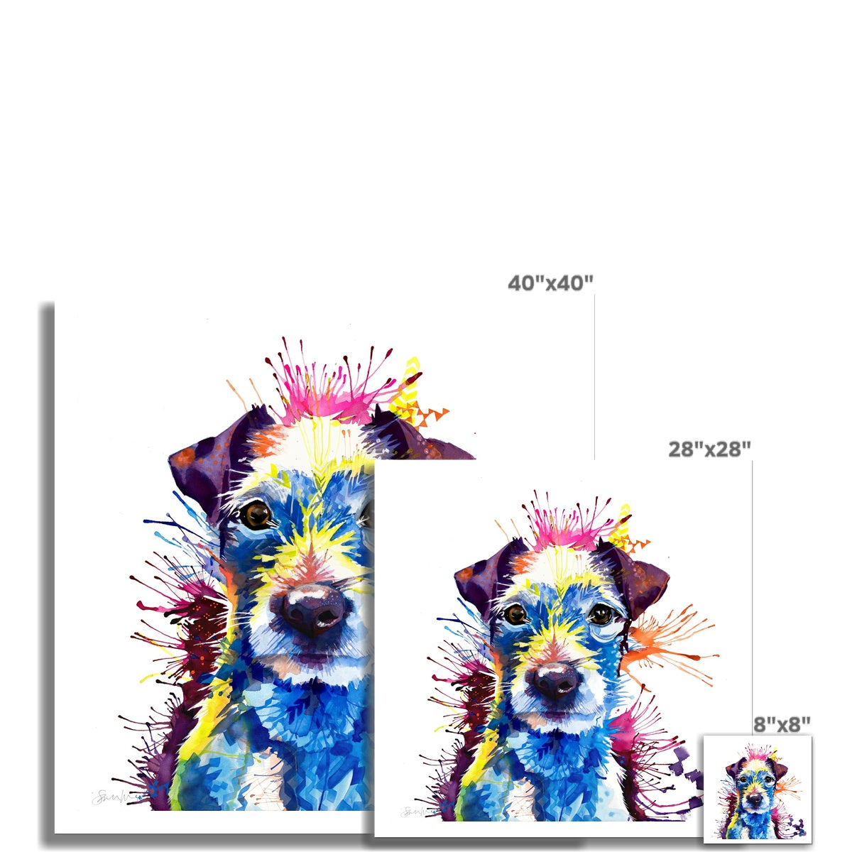 Luzie the Parson Russell Terrier Fine Art Print Sarah Taylor Art