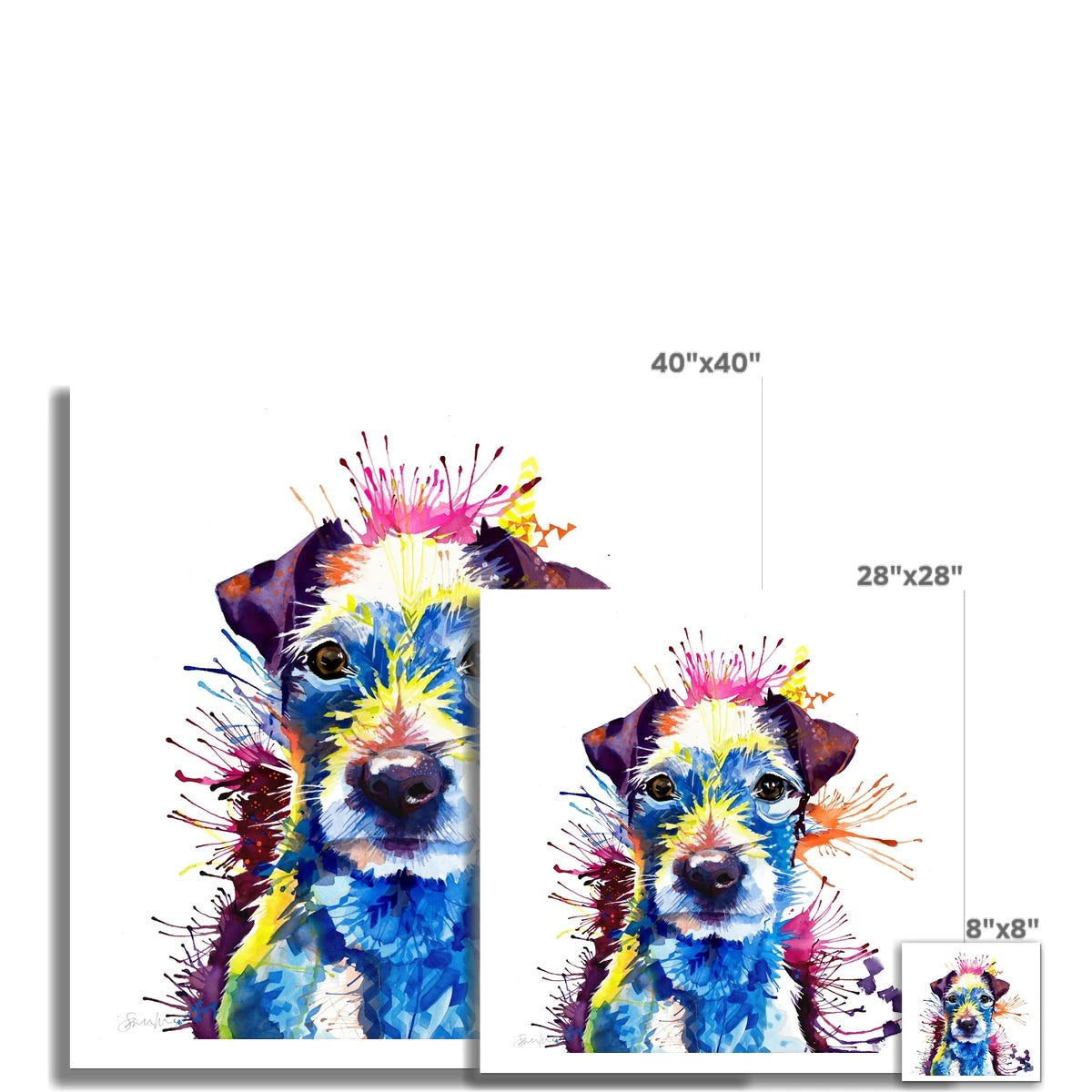 Luzie the Parson Russell Terrier Fine Art Print Sarah Taylor Art