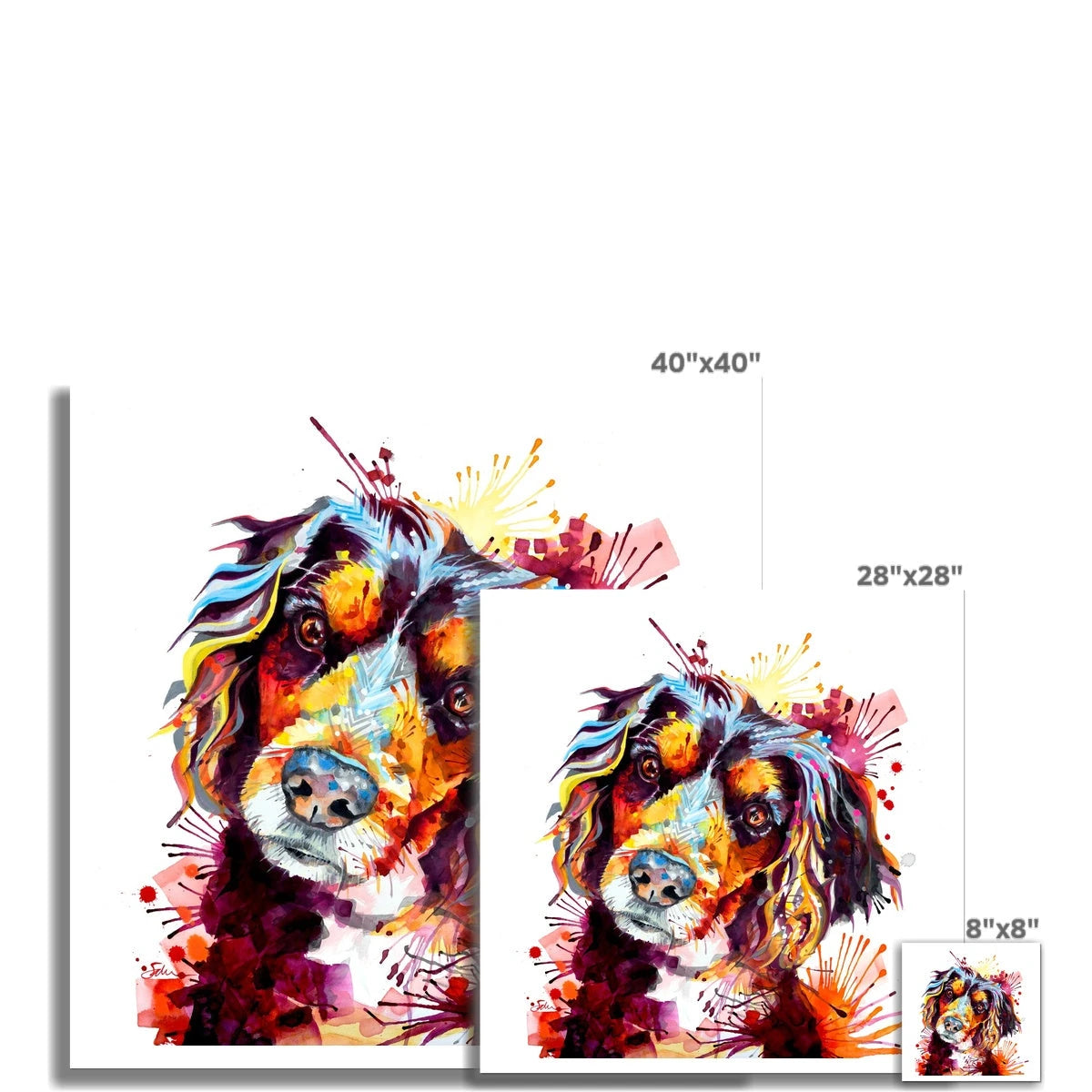 Winston the Working Cocker Spaniel Fine Art Print Sarah Taylor Art