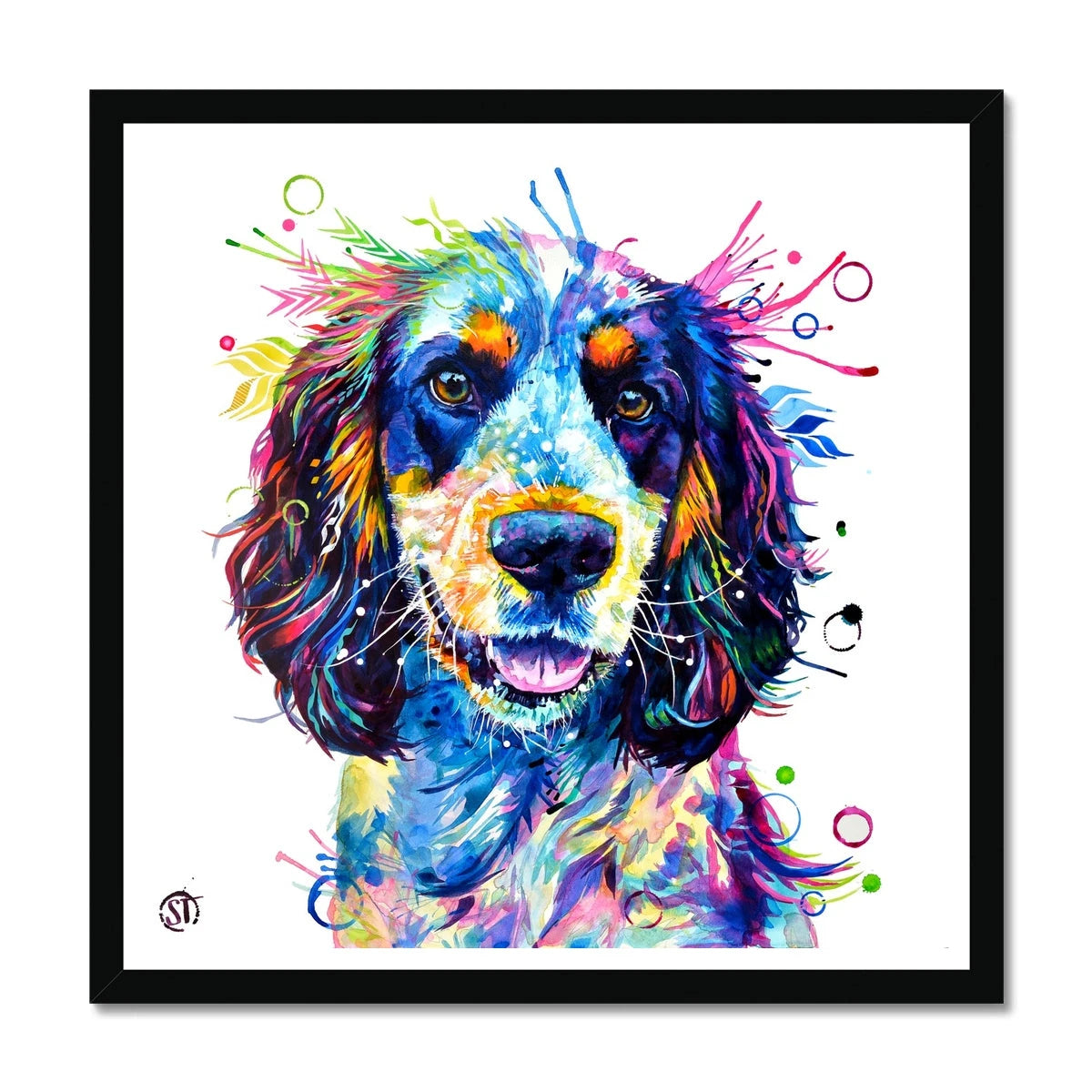 Tazz the Cocker Spaniel Framed Print