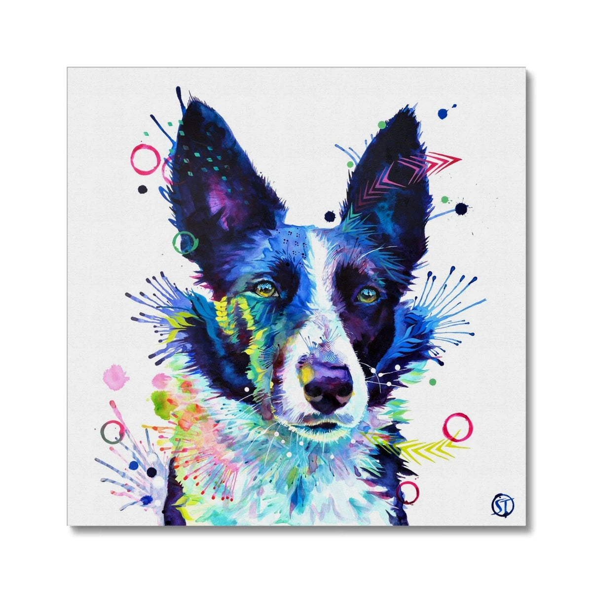 Jess the Border Collie Canvas Sarah Taylor Art
