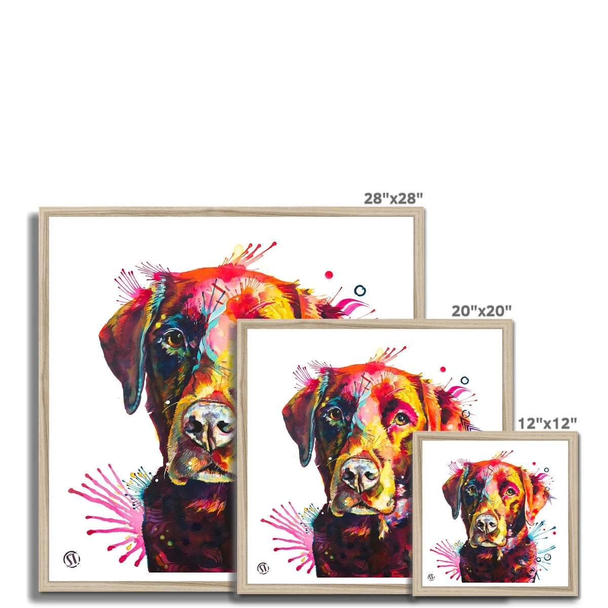 Ivy the Chocolate Labrador Framed Print Sarah Taylor Art