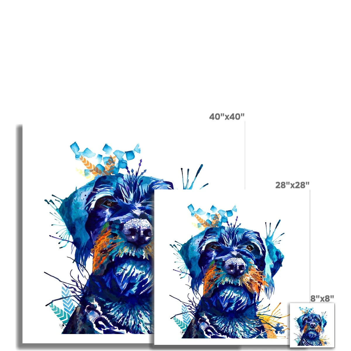 Fe the German Wirehaired Pointer Fine Art Print Sarah Taylor Art