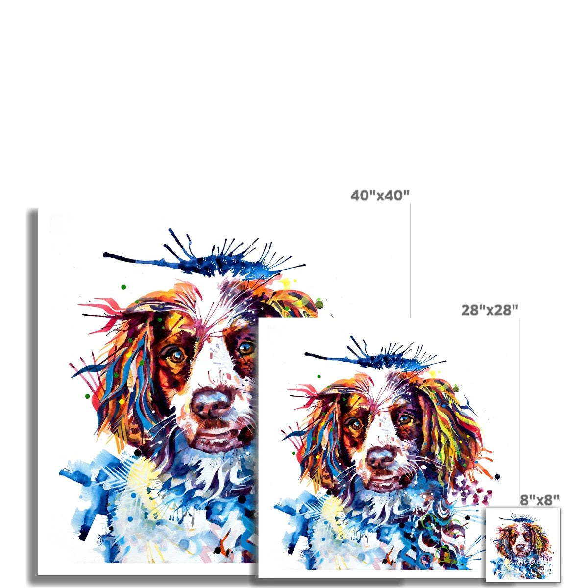 Buster the Springer Fine Art Print Sarah Taylor Art